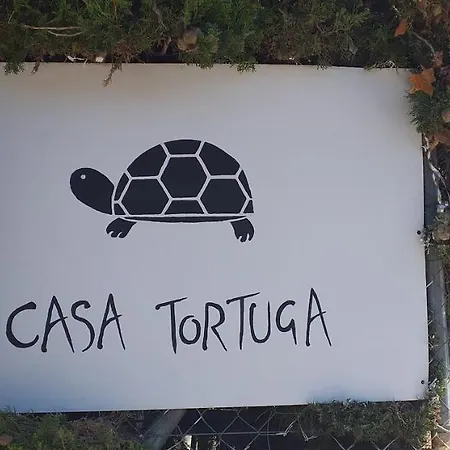 Ferienhaus Caravana- Glamping Casa Tortuga La Nucía